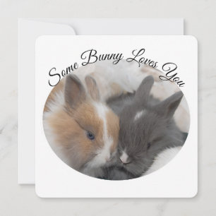 Carte Un Lapin T'Aime