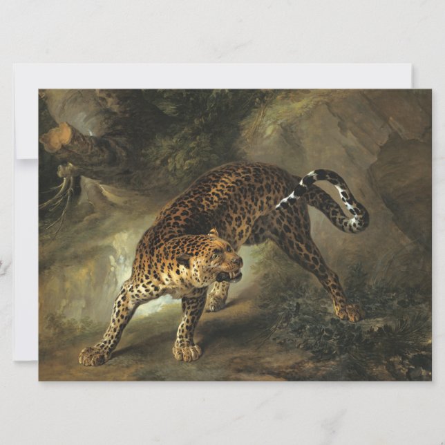 Carte Un léopard sauvage féroce (par Jean-Baptiste Oudry (Devant)