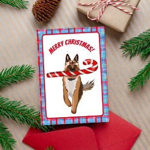 Carte Un Noël très Shepherd allemand canne à sucre