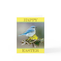 Un Oiseau Bleu au Printemps