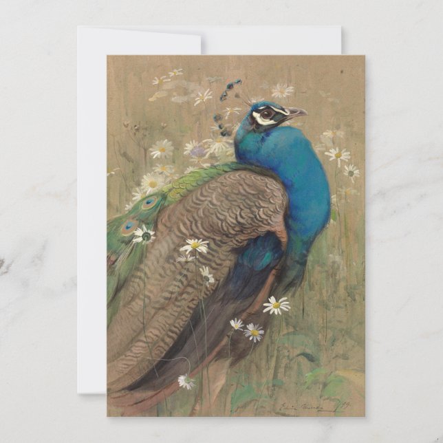 Carte Un paon et des marguerites | Edwin John Alexander (Devant)