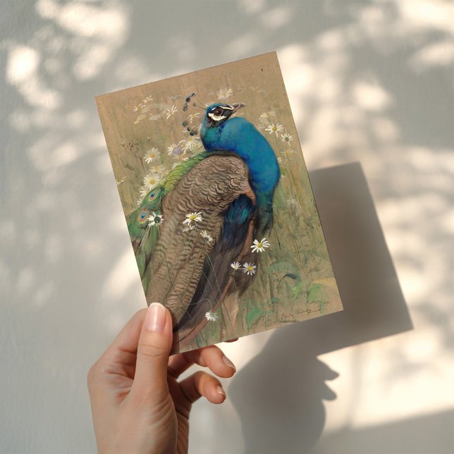 Carte Un paon et des marguerites | Edwin John Alexander (Créateur téléchargé)