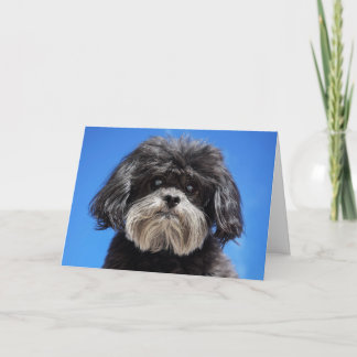 Carte Un peu d'amour