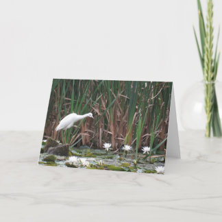 Carte Un peu de pêche au héron bleu