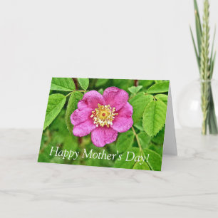 Carte Un Rose sauvage
