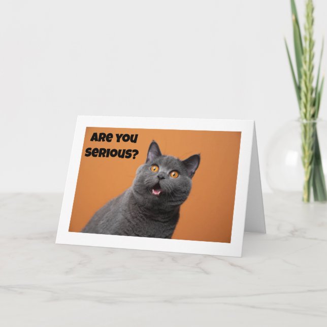 Carte UN SÉRIEUX CHAT DIT "HEUREUX 50ème anniversaire" (Devant)