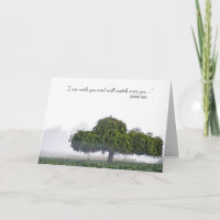 un seul arbre vert dans la compassion brouillard