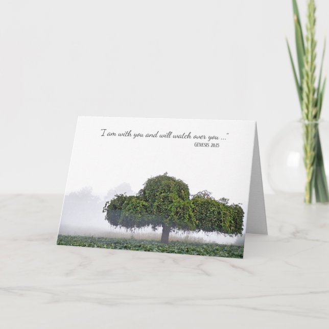 Carte un seul arbre vert dans la compassion brouillard (Devant)