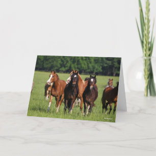 Carte Un troupeau de poneys gallois debout dans le champ