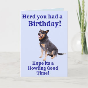 Carte Un troupeau que tu as eu un anniversaire