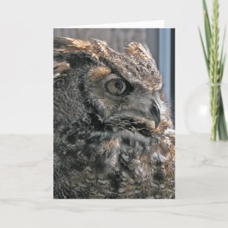 Carte Une autre année plus sage