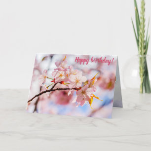 Carte Une Belle Bouche De Fleurs Sakura Sur Fond Rose