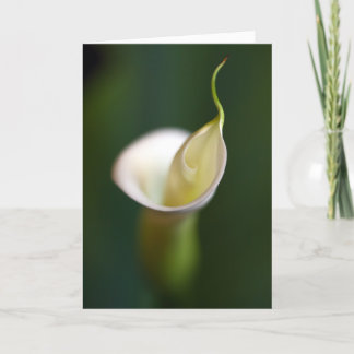 Carte Une dame dans le blanc