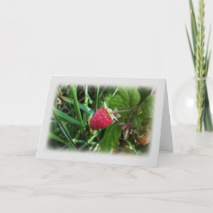Carte Une framboise mûre