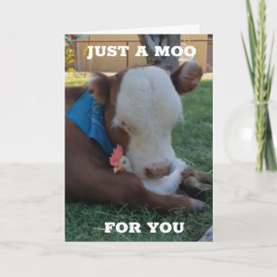 CARTE UNE MOO ET UN SOUHAIT POUR "VOTRE ANNIVERSAIRE"