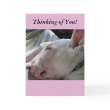 Une sieste dans le soleil-penser de vous