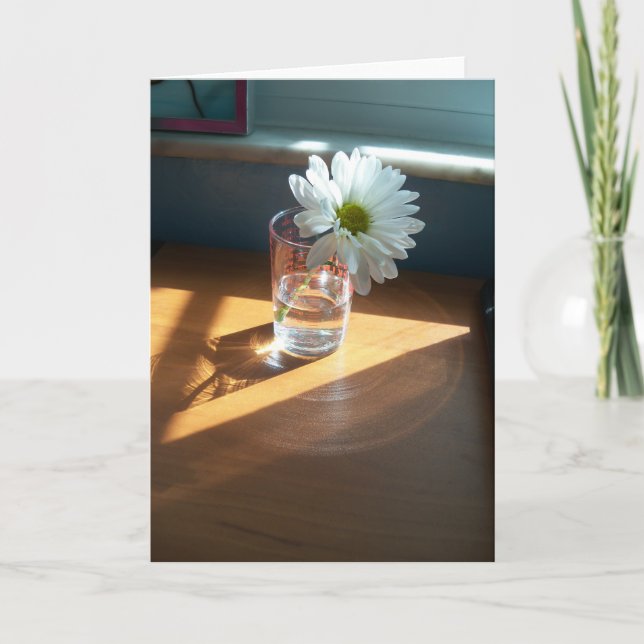 Carte Une simple marguerite blanche dans un endroit enso (Devant)