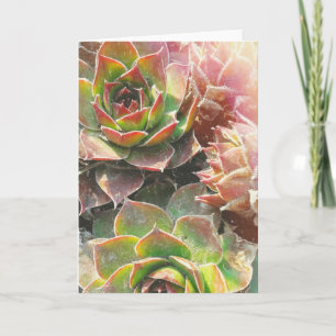 Carte Usines de poule et de poussin