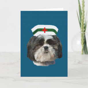 Carte Va Bien, Chih Tzu Chien