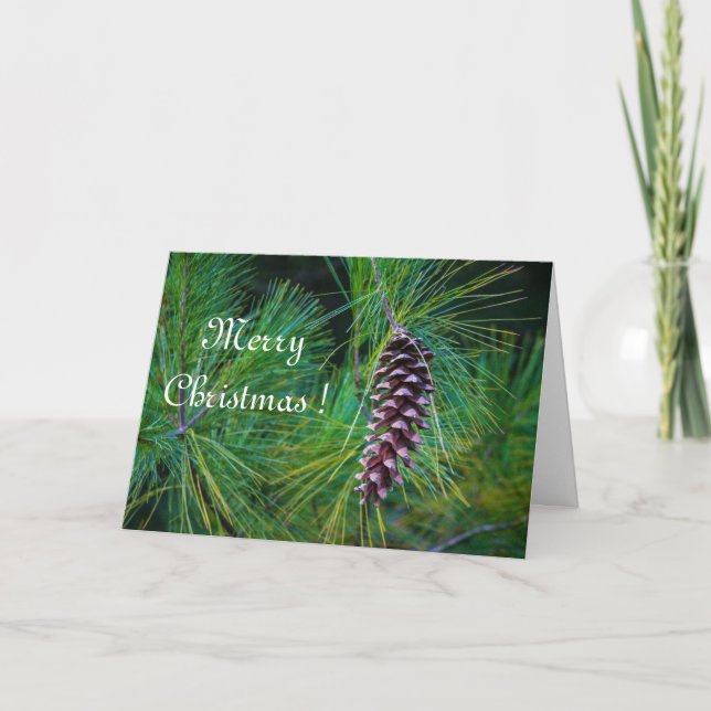 Carte Vacances Pine Cone (Devant)
