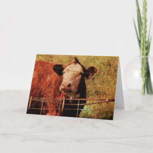 Carte Vache conviviale, Fête des pères