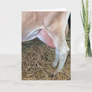 Carte Vache d'anniversaire debout sur du foin