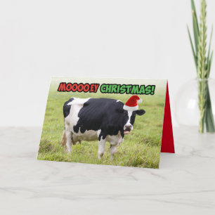 Carte Vache de Noël amusante - Noël de l'argent