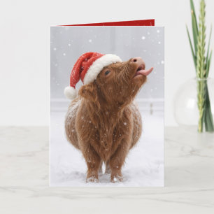 Carte Vache des Highlands de Noël attrapant des flocons
