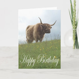 Carte Vache des Highlands écossaise