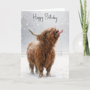 Carte Vache des Highlands lèche des flocons de neige pou