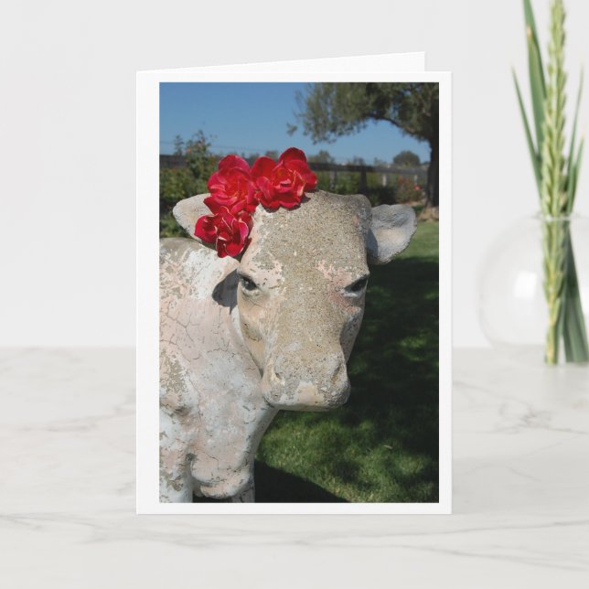 Carte Vache du sud (Devant)