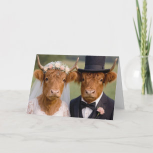 Carte Vache écossaise mariée et marié