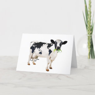 Carte Vache en espèces