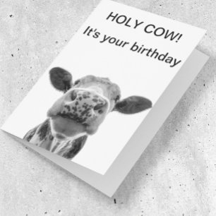 Carte Vache Saint Anniversaire Vache blanche noire