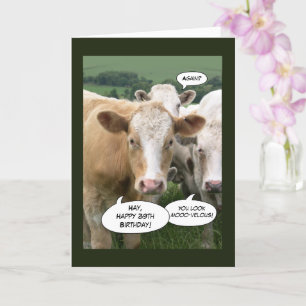 Carte Vaches amusantes Joyeux anniversaire pour son 39e