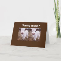 VACHES COMÉDIENNES DISENT "JOYEUX ANNIVERSAIRE"