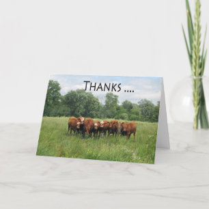 Carte Vaches - jour administratif Pro