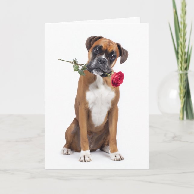 Carte Valentin de chien Boxer (Devant)