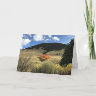 Carte Valentine Card avec Heart Shaped Aspens