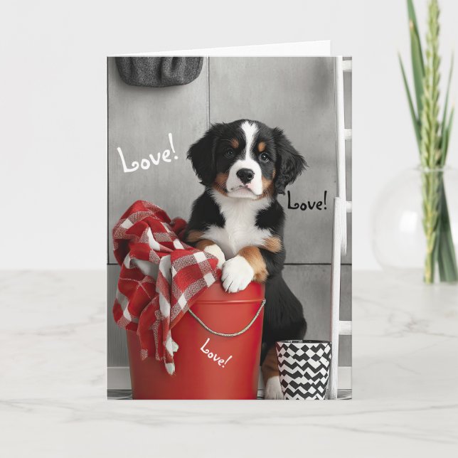 Carte Valentine Chien de Montagne Bernese (Devant)