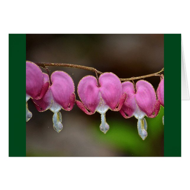 Carte Valentine Coeur Saignant (Devant horizontal)
