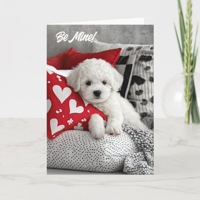 Carte Valentine Puppy Bichon Frise (Devant)