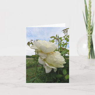 Carte Vanessa Bell Rose jaune, Verticale