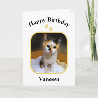 Carte Vanessa Calico Kitten Joyeux anniversaire