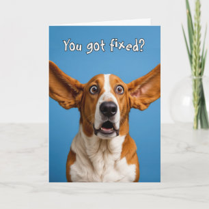 Carte Vasectomie Basset Hound Chien Humour