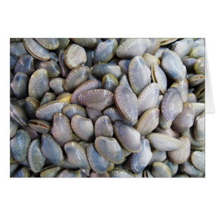 Carte Venus Clam [ห อ ย ล า ย]