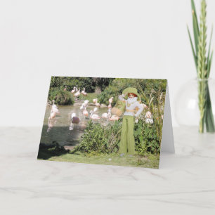 Carte Verdi, Flamants roses au zoo de Houston