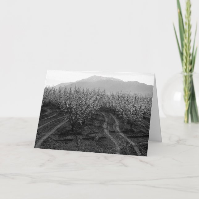 Carte Vergers à interdire les tailles, Mt. San Jacinto, (Devant)