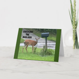CARTE **VÉRIFIEZ VOTRE BOÎTE AUX LETTRES POUR VOTRE ANNI