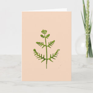 Carte vert printemps